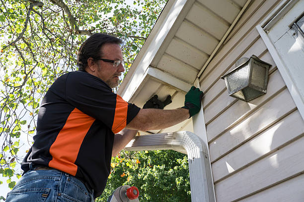 Professional Siding in Farley, KY